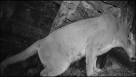 Nature - Season 44 Episode 02